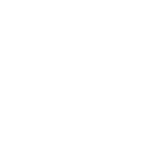 Recon Surf Shop